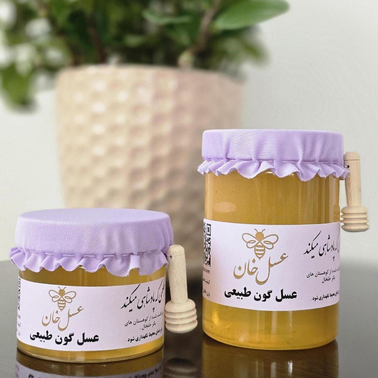 عسل طبیعی گون 500 گرمی + تست رایگان ۲۰ گرمی